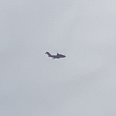 Lul Vivid (@_lulvivid_)