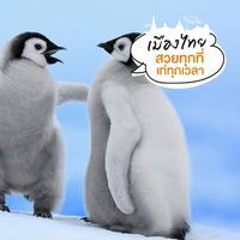 รักพ่อ รักแม่