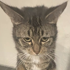 увувуууыууу