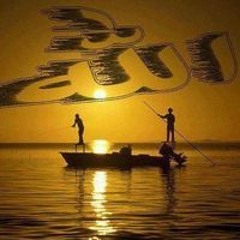 محمود الغزولى