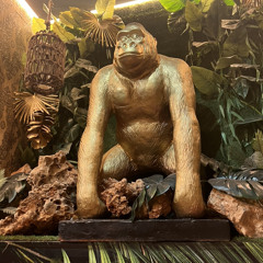 Yeferson Zapata Ruiz🦁🍀