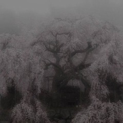 lumen