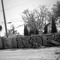 User1346