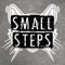 Small Steps