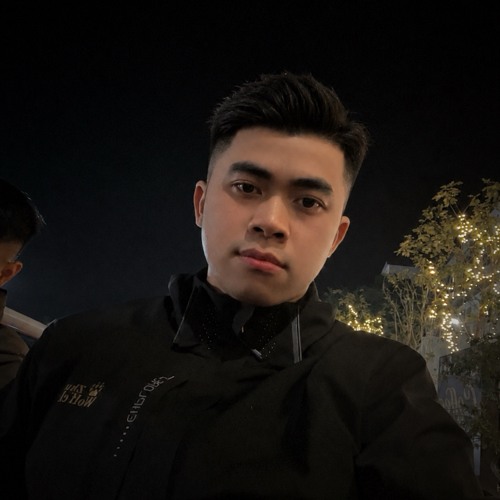 Ngô Tiến Mạnh — artist photo
