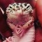 Gecko