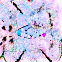 Kelly§Vapor