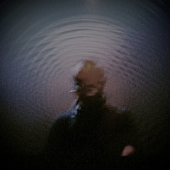 倒木 / a fallen tree