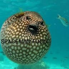 SPACEMANmedia