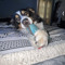 user58021515