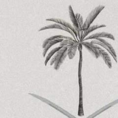 ناصر غازي القحطاني