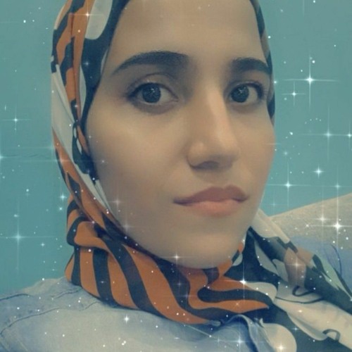 Nermein Mohamed Amer’s avatar