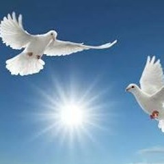 SoundWorld's Guestbook