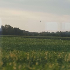 Kholat