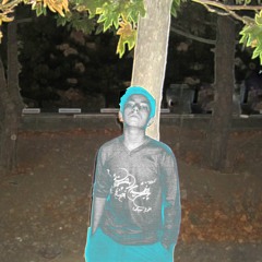 Raad021