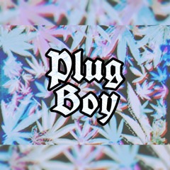 PlugBoy