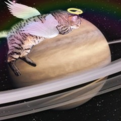 violet is a good colour