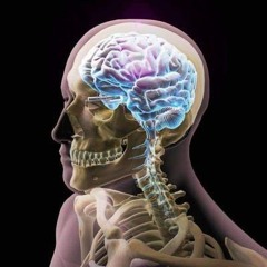 insaneإنسان