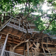 My Broken Treehouse