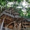 My Broken Treehouse