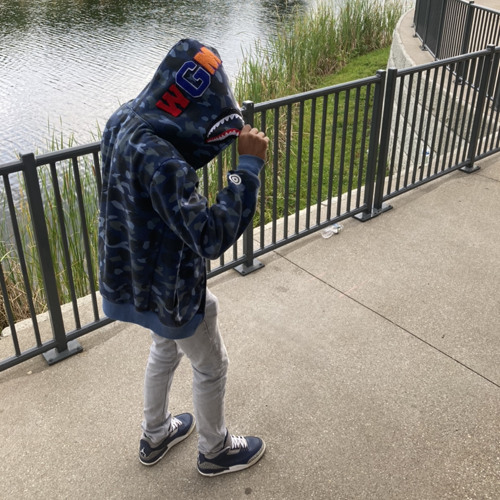 Bape shark hoodie clearance lila