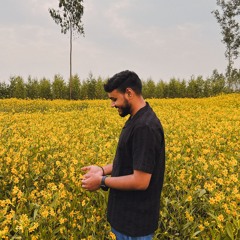 wvlkmusic