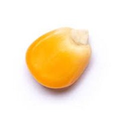 Un "Mi" Kdo...tient-tient...