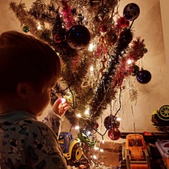_dima_nff