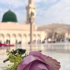 مريم علاء