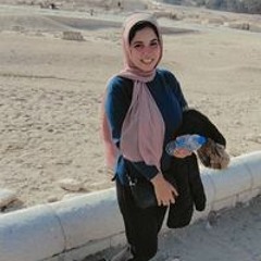 Manar Salah Fawaz