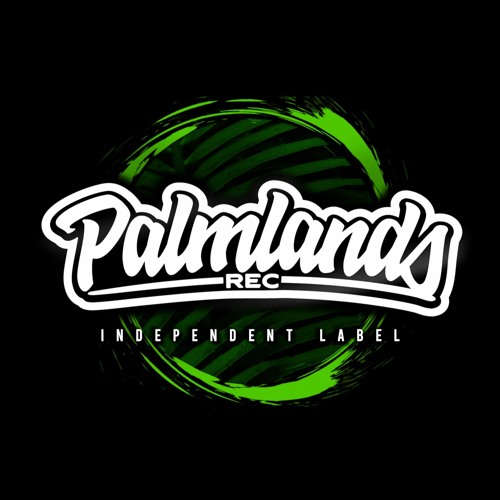 PALMLANDS RECORDS’s avatar