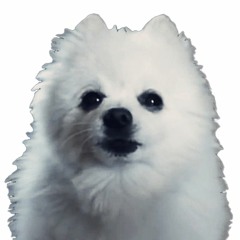 ŴË ẄÛŽ ẀṌḼṼḖṠ