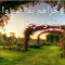 learning the sunnah
