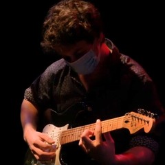 Salal Guitar
