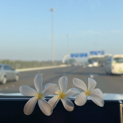 شوق