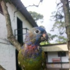 Cristian Quiceno Ruiz