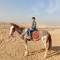 Hamza Yossef