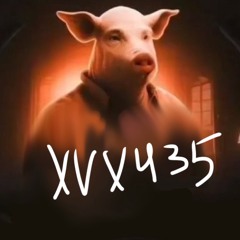xvx435