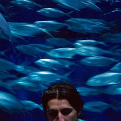Emilio R Escarcega