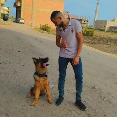 ahmed gaballa