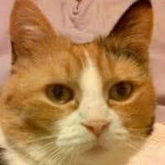 CathyAnn Fallon Eddy