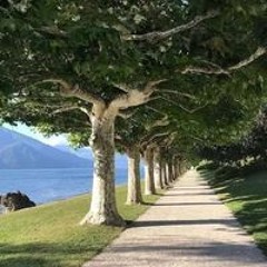 Muhammed Fatouh Al Halim