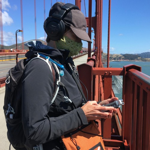 FrogsInRainTaps-Track