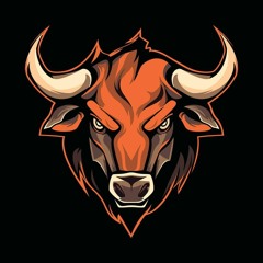 BULL PR