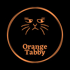 Orange Tabby