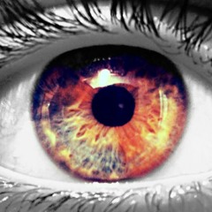 Alex Alta - Land Cruisers