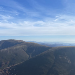 psevdo guide