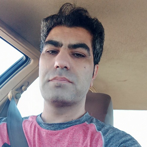 Hamed Hamedi’s avatar
