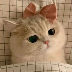 ynrhh