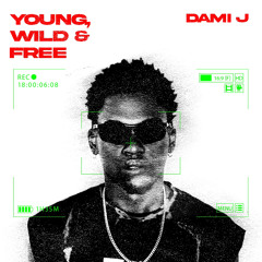 Damijhonsn